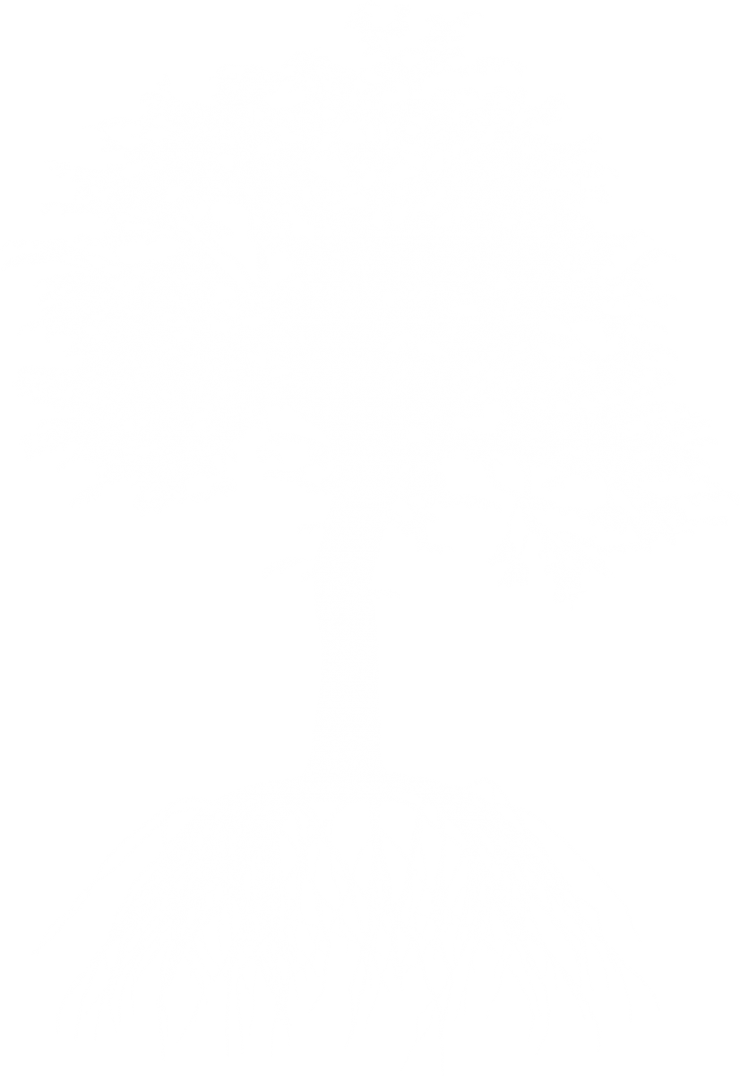 footer-photo-tree